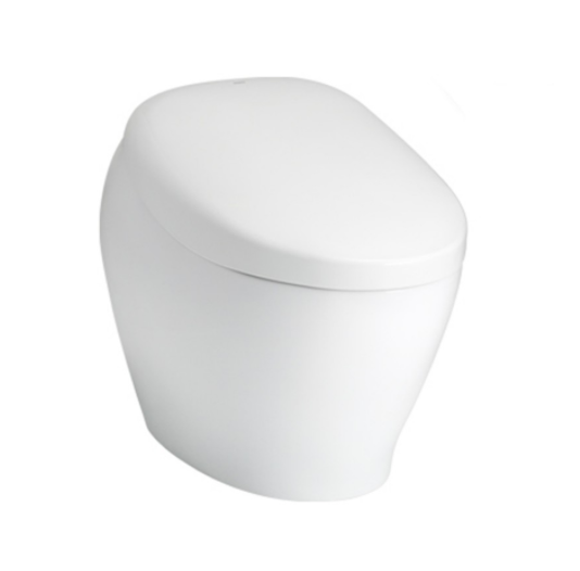 Bàn Cầu Neorest ToTo CS900VT#NW1/T53P100VR Bàn Cầu Neorest ToTo CS900VT#NW1/T53P100VR