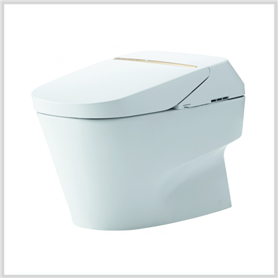 Bàn Cầu Neorest ToTo CW992VA/TCF992WA/T53P100VR